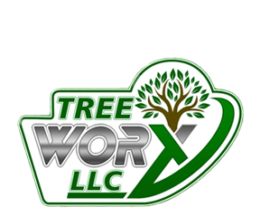 Tree Removal Logo Glen Burnie MD